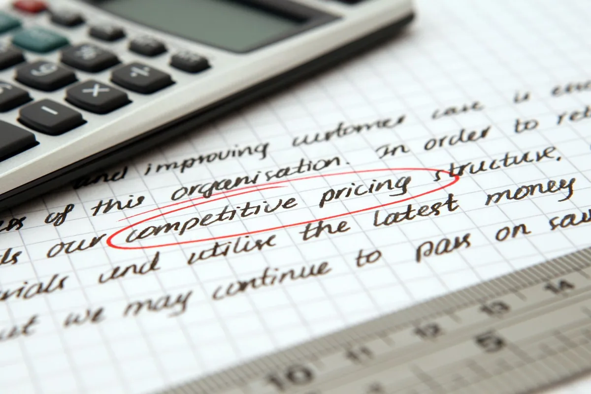 Small business website cost